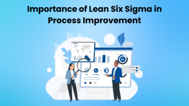 Importance of Lean Six Sigma in Process Improvement 
