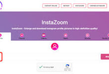 Looking Into Instagram Highlights Using InstaZoom